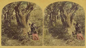 London Stereoscopic Photographic Co Prints: A bold peasantry, their country's pride