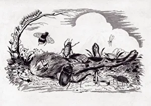 Goblin Prints: Bolotnik. Artist: Belukha, Yevgeny Dmitrievich (1889-1943)