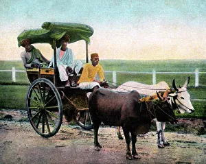 Mumbai Prints: A Bombay reckla, India, early 20th century