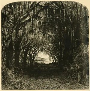 Cemetery Prints: Bonaventure Cemetery, 1872. Creator: John Filmer