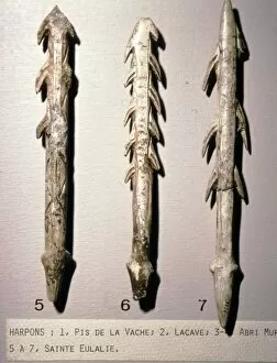 Fishing Collection: Bone Harpoons for fishing, Dordogne region, France, Paleolithic Period, (c20th century)