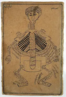 Copy Prints: Bones of the human body, (between 1800 and 1899?). Creator: Unknown