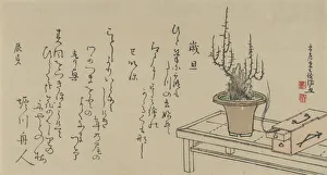 Bonsai Plum Tree on Bench and Box, 1796. Creator: Kubo Shunman Bonsai Plum Tree on Bench and Box, 1796. Creator: Kubo Shunman