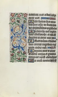 Active Rouen Prints: Book of Hours (Use of Rouen): fol