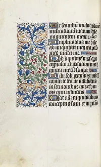 Active Rouen Prints: Book of Hours (Use of Rouen): fol