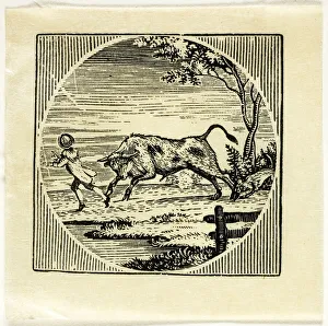 Book Illustration, n. d. Creator: Thomas Bewick
