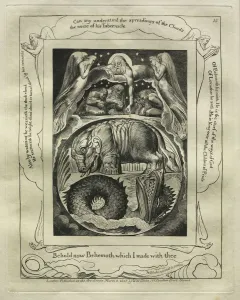 1757 1827 Prints: The Book of Job: Pl. 15, Behold now Behemoth which I made with thee, 1825. Creator