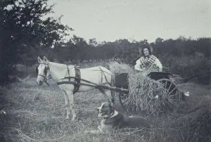 Platinum Prints 1900 Gmgpc Prints: Boon companions, c1900. Creator: Unknown