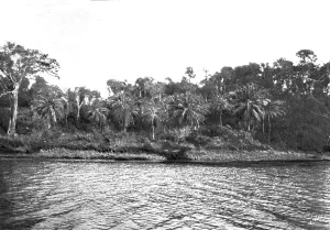 Rainforest Prints: Bords du Comoe; L'Ouest Africain, 1914. Creator: Unknown