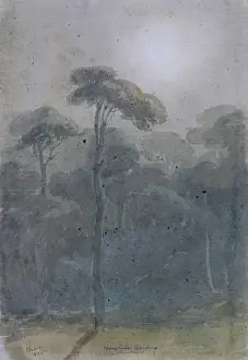 Misty Prints: Borghese Gardens, 1825. Creator: James William Giles