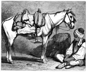 Balkan Prints: A Bosnian peasant, c1890