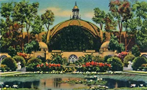 Lily Pad Prints: Botanical Building and Lagoon. San Diego, California, c1941