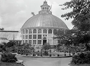 Glasshouse Prints: Botanical Gardens, 1917 or 1918