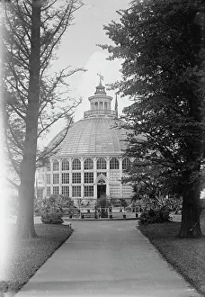 Glasshouse Prints: Botanical Gardens, 1917 or 1918