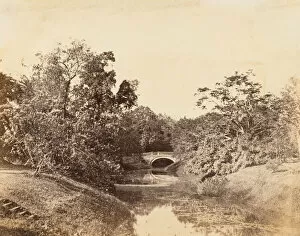 Botanic Gardens Gallery: Botanical Gardens, Calcutta, 1850s. Creator: Unknown