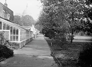 Botanic Garden Prints: Botanical Gardens At The Capitol, 1917