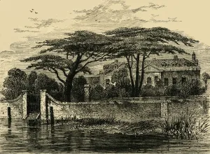 Chelsea Prints: The Botanical Gardens, Chelsea, 1790, (c1876). Creator: Unknown