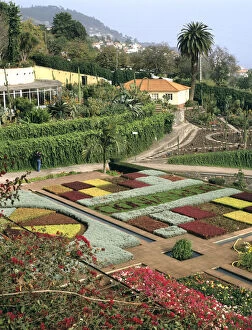 Botanic Gardens Gallery: Botanical gardens, Funchal, Madeira, Portugal