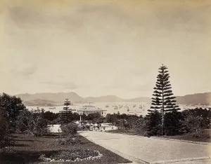 Hong Kong Prints: Botanical Gardens, Hong Kong, looking north to the harbour