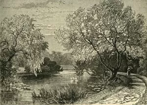 Waterlily Gallery: The Botanical Gardens, Regents Park, c1876. Creator: Unknown