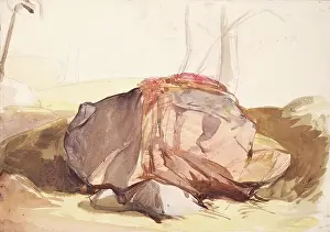 Geological Prints: Boulder, c1840s. Creator: John Phillip
