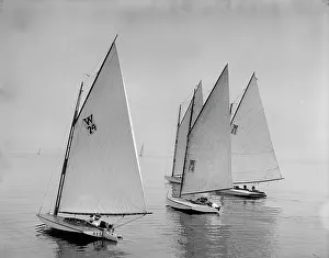 Johnston Js Prints: Bouncer, Spunk, Lobster, and Kazaza, 1899 July 22. Creator: Johns Johnston