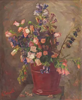 Petal Prints: Bouquet, 1940-1949. Creator: Stefan Polkorab