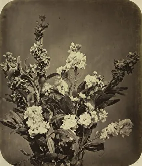 Adolphe Braun French Gallery: Bouquet, c. 1855. Creator: Adolphe Braun (French, 1812-1877)