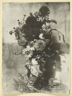 Edition 14 50 Gallery: Bouquet de Fleurs, 1842 / 50, printed 1965. Creator: Hippolyte Bayard