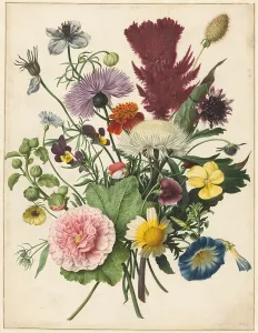 Sweet Violet Prints: Bouquet of Flowers, 1680. Creator: Anon