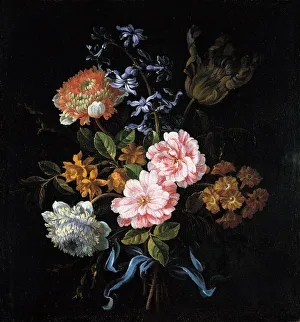 Bouquet of poppy anemones, roses, double campernelle, a hyacinth, a tulip and auricula tied with a b Artist: Monnoyer Bouquet of poppy anemones, roses, double campernelle, a hyacinth, a tulip and auricula tied with a b Artist: Monnoyer
