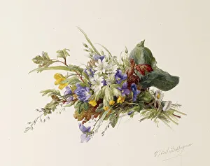 Geraldine Jacoba Van De Sande Bakhuyzen Prints: Bouquet of Wildflowers, c1875. Creator: Gerardina Jacoba van de Sande Bakhuyzen