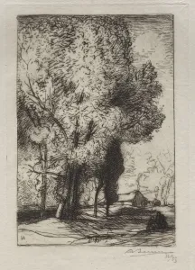 Bourrine dans les Peupliers, 1911. Creator: Auguste Louis Lepere (French, 1849-1918)