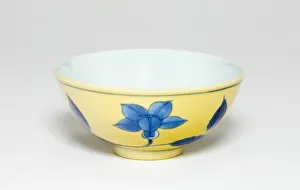 Bowl with Floral Scrolls, Qing dynasty (1644-1911), Kangxi period (1662-1722)