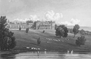 Swan Prints: Bowood Park, Wiltshire, 1825. Artist: JC Varrall