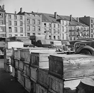 Boxes of fish caught off the New England coast waiting to be shipped to retail... New York, 1943. Creator: Gordon Parks Boxes of fish caught off the New England coast waiting to be shipped to retail... New York, 1943. Creator: Gordon Parks