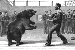 A Boxing Match on board H.M.S.'Cambridge'; The pet bear Bob has now been transferred to the Zool Creator: Unknown. A Boxing Match on board H.M.S.'Cambridge'; The pet bear Bob has now been transferred to the Zool Creator
