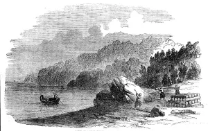 Raw Materials Prints: Boxwood Forest on the Shores of the Black Sea, 1858. Creator: Harvey Orrin Smith