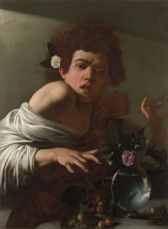Michelangelo 1571 1610 Prints: Boy bitten by a Lizard, ca 1595. Artist: Caravaggio, Michelangelo (1571-1610)
