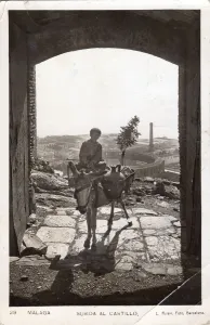 Water Pots Prints: Boy with donkey, Malaga Castle, 1932. Creator: L Roisin