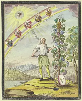 1760s Prints: Boy with a pruning knife in front of a grapevine