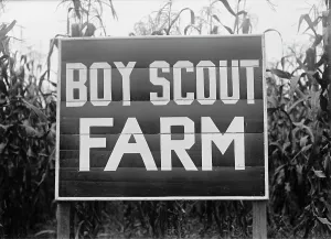 Boy Scouts Prints: Boy Scouts, Boy Scout Farm, 1917