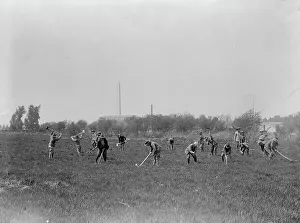 Boy Scouts Prints: Boy Scouts Gardening In Potomac Park