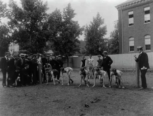 Boys track meet - the start, Central High School, (1899?). Creator: Frances Benjamin Johnston