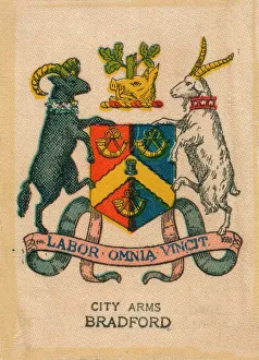 Bradford Gallery: Bradford, c1910