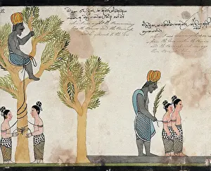 Caste System Prints: The brahmin, sitting in a tree