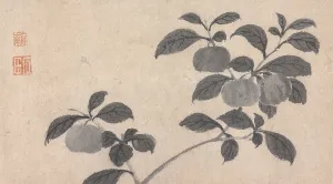 Ming Dynasty Prints: Branch of Fruit Bearing Tree, c16th century. Creator: Unknown