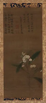 Ming Dynasty Prints: A Branch of loquats, Ming dynasty, 1368-1644. Creator: Unknown