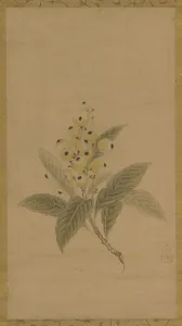 A branch of medlars, Edo period, 17th century. Creator: Kano Tan'yu