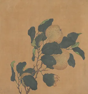 Ripe Prints: Branch of Tree with Fruit. Creator: Unknown